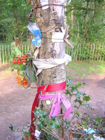 Wunschbaum behängt mit Zetteln, Bändern und Schleifen, in der Nähe des Grabes von Merlin dem Zauberer