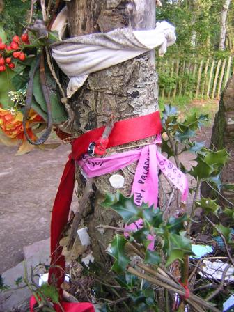 Baum an einem Ritualplatz für Hexen, mit Wunschbändern und Blumen